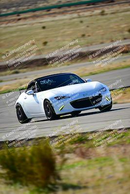 media/Jan-27-2024-VIP Trackdays (Sat) [[15b9b18693]]/Group A/Session 2 (Turn 3)/